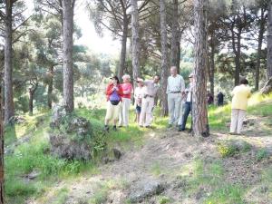 Insel Ischia. Ausflug