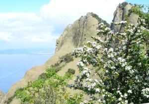 Insel Ischia. Epomeo Gipfel