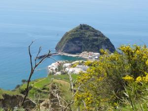 Insel Ischia. St'Angelo