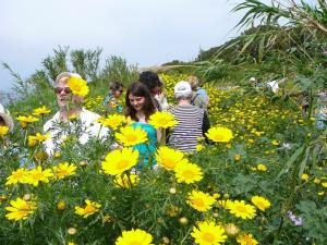 Insel Ischia. Wandergruppe