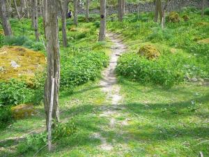 Insel Ischia. Wanderweg
