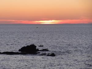Ischia. Sonnenuntergang