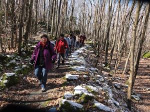 Ischia. Landschaft. Wanderung