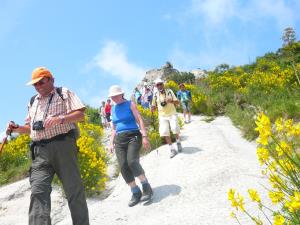Insel Ischia. Wanderung auf den Epomeo
