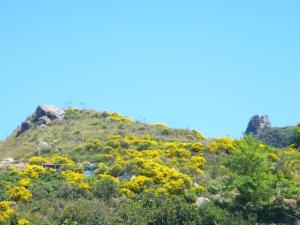 Insel Ischia. GEO-Wanderung