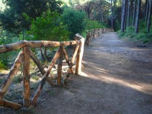 Insel Ischia. Vulkan-Wanderung