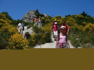 Insel Ischia. Wanderung zu den Epomeo Berggipfel
