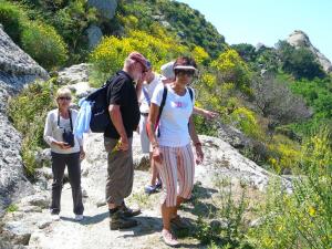 Insel Ischia. GEO-Wanderung