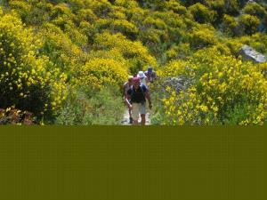 Insel Ischia. Trans-Epomeo Wanderung