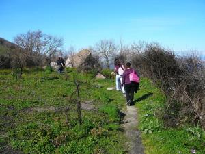Insel Ischia. Wandern